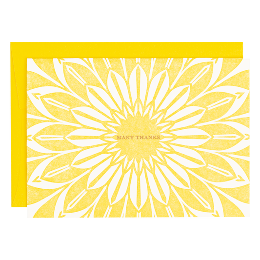 Sunburst - Thank You Card Set