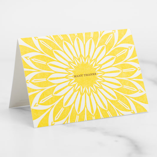 Sunburst - Thank You Card Set