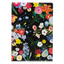 Pont-Neuf Clear Garden File