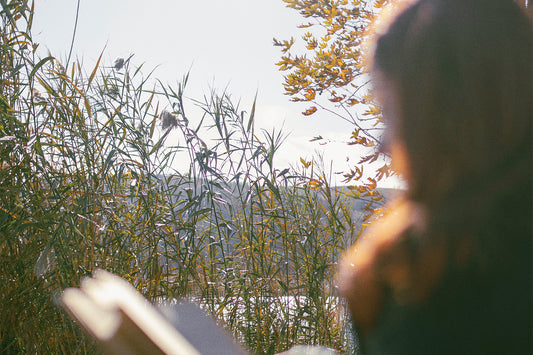 A person looks out onto a lake surrounded by tall grasses