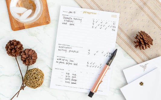 A habit tracking notepad, filled in with pen, sits on a white table next to a fountain pen, some dried flowers and a glass of water.