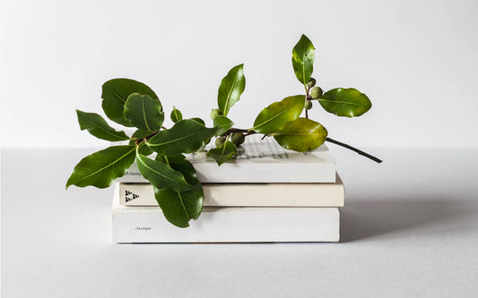 A stack of three white books sits on a white tabletop with a green plant across the top of the pile