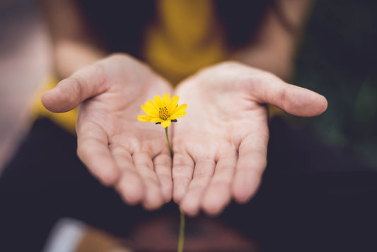 A woman holds out her two hands and holds a yellow flower