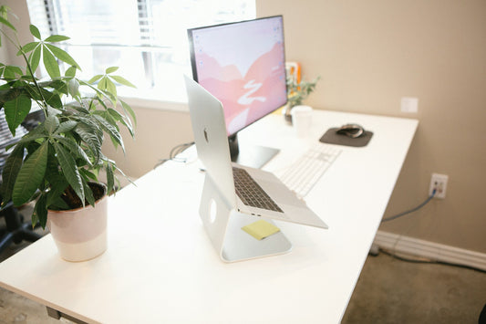 A clean white desk with two computer monitors and a plant