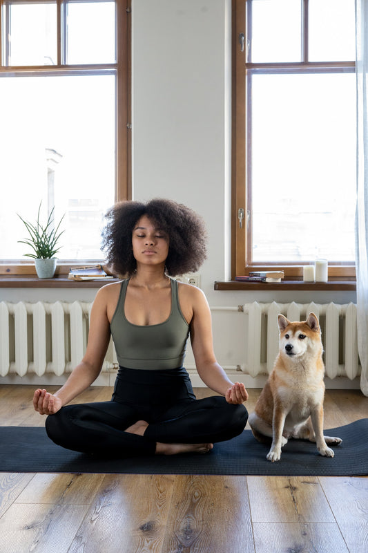 A woman does morning exercises and meditates on a yoga mat next to a small dog.