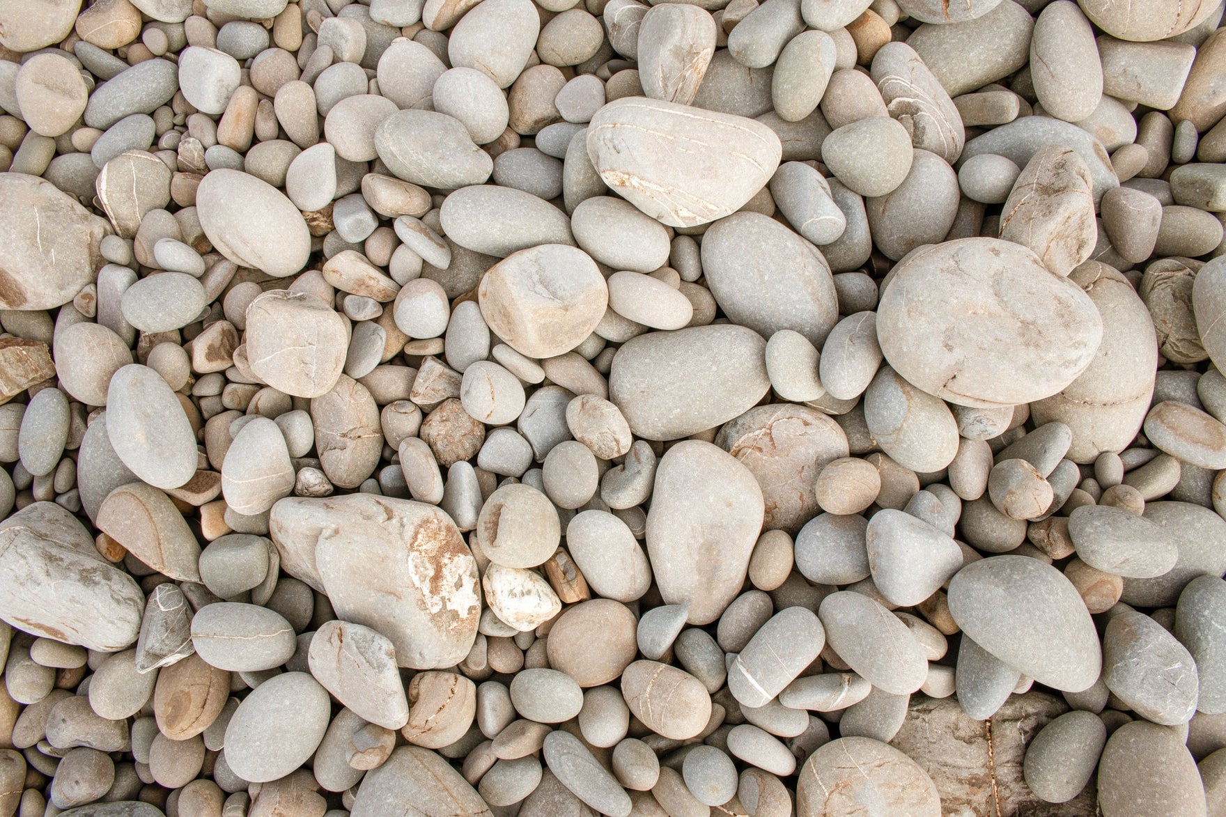 An array of white rocks.