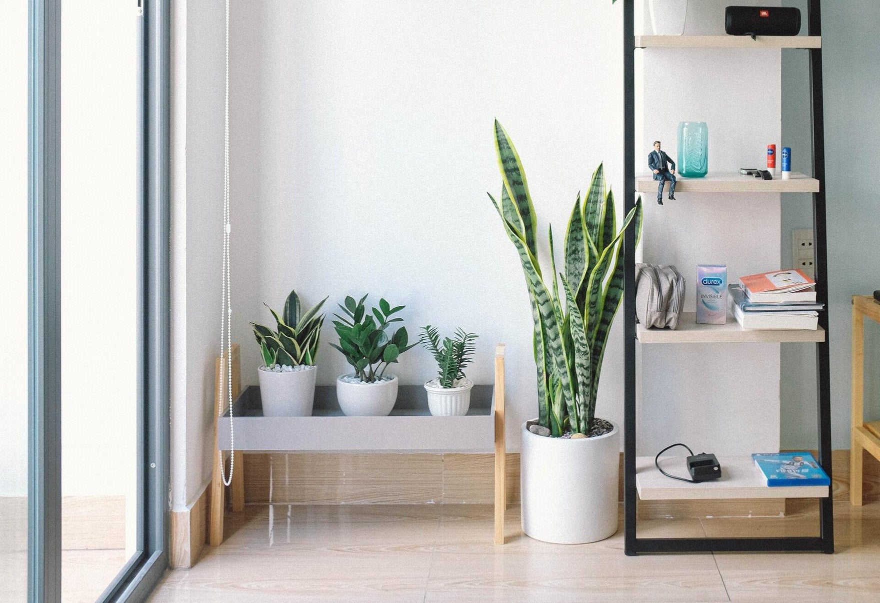 A clean organized corner of a house, with a low shelf with three green plants and a tall set of shelves with organized goods.