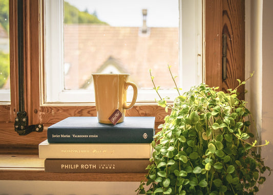 A cup of tea sitting on a stack of books on a windowsill, next to a leafy green plant