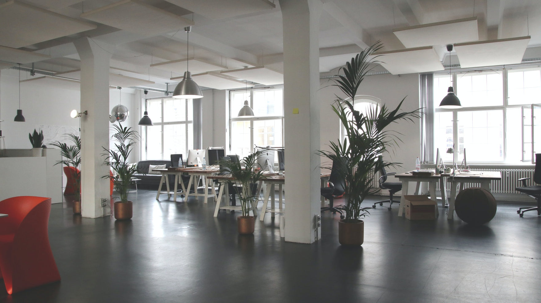 A white and grey open plan office, with several plants on tables throughout