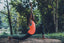 A woman doing a yoga pose in front of trees