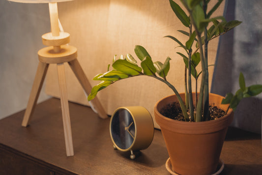 A nightstand with sleek items including a lamp, a small clock, and a plant.