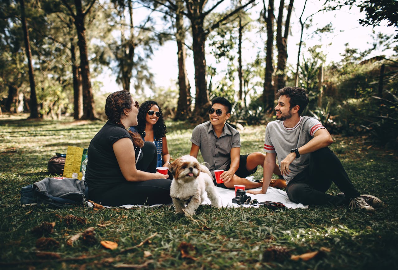 Four friends and a white dog sit on a blanket in a park