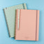 Two notebooks, one green and one pink, with a pen on a blue background