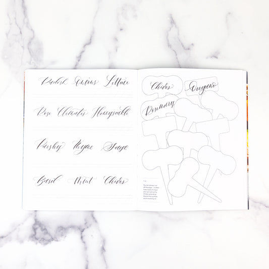 Modern Calligraphy: The Workbook interior