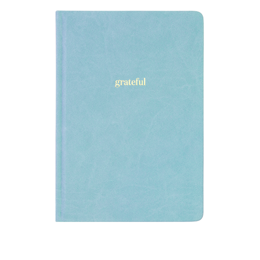 Ink+Volt Gratitude Journal bluesky