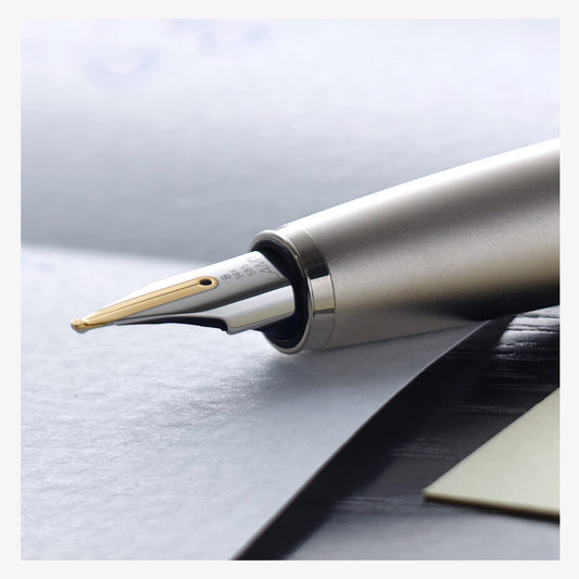 Lamy Palladium Fountain Pen