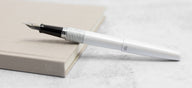 Pilot White Tiger Fountain Pen lifestyle